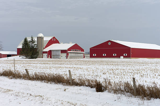 red barns em dia de inverno neve - winter agriculture ranch field - fotografias e filmes do acervo