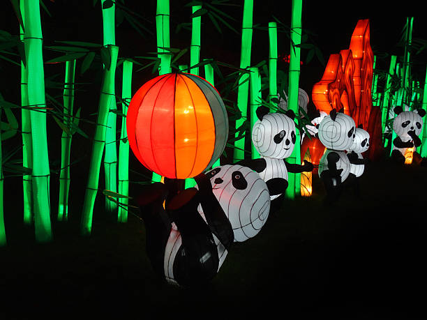 Frome, Somerset, England, UK - December, 6 2014: Seasonal concept photo showing magically illuminated Pandas at night. The oriental plastic models are displayed in front of a background of plastic bamboo and is part of a Chinese Festival of Lights.