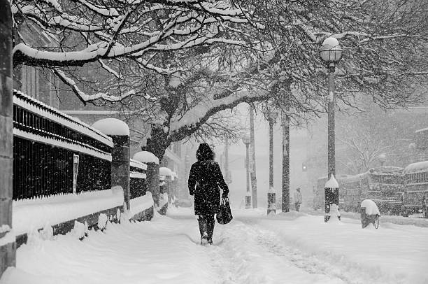 istock walking on street under snow 527819707