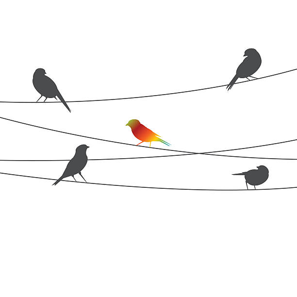 bildbanksillustrationer, clip art samt tecknat material och ikoner med birds on wire - think different concept - stand out