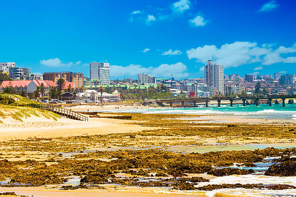 Port Elizabeth cityscape from the beach stock photo