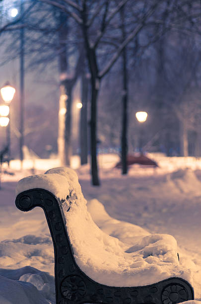 istock Bench in the park in the winter night with blurred background 527839453