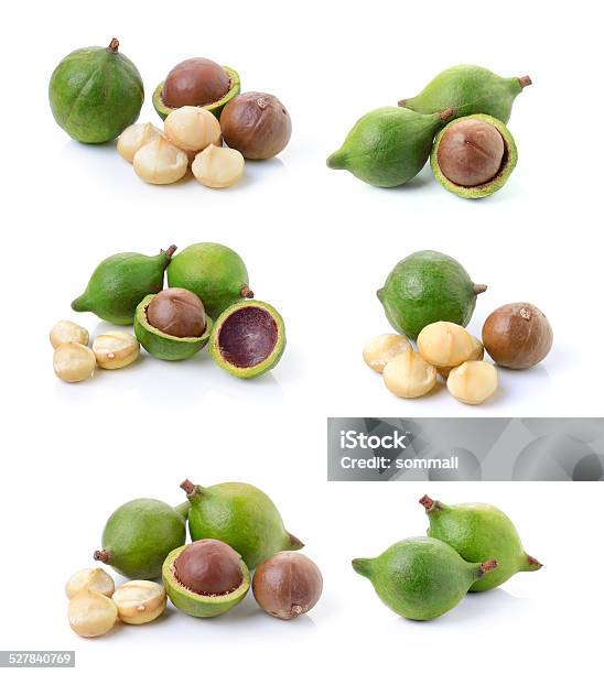 Macadamia Nuts On White Background Stock Photo - Download Image Now - Antioxidant, Backgrounds, Brown