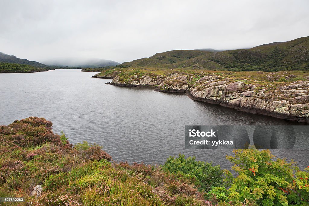 Upper Lake nel Parco Nazionale di Killarney. - Foto stock royalty-free di Ambientazione esterna