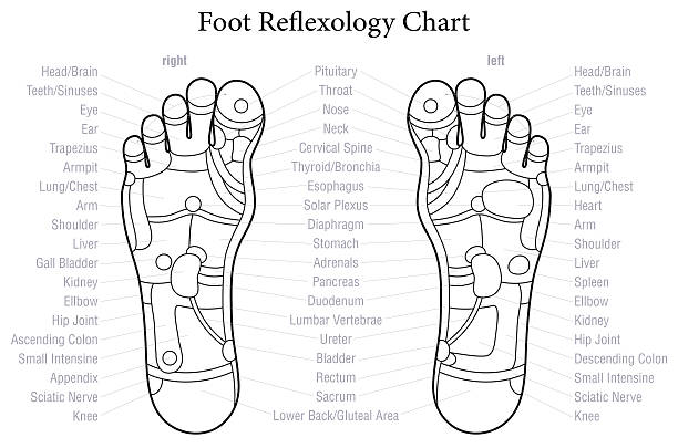 フットリフレクソロジーチャートのアウトライン - massaging human foot reflexology foot massage点のイラスト素材／クリップアート素材／マンガ素材／アイコン素材
