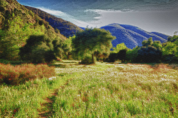 カリフォルニアの草地 - oak tree tree grass hdr ストックフォトと画像