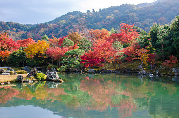 istock colorful trees in Arashiyama, Japan 527843455