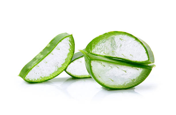 istock Fresh aloe vera leaves  on white background 527843889