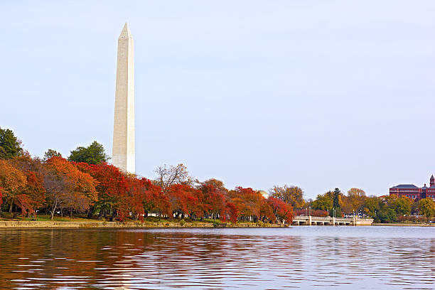 istock National Monument with trees around the Tidal Basin in autumn 527845029