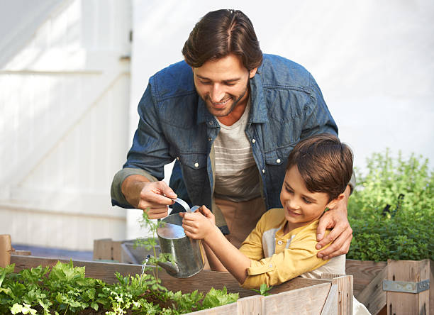 de plus en plus leur propre jardin aromatique - gardening vegetable garden action planting photos et images de collection