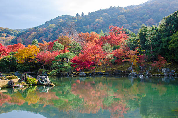istock Colorful trees in Arashiyama, Japan 527860469
