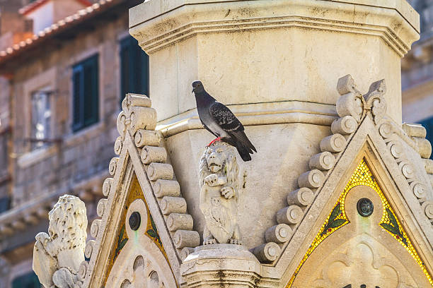 gothic decoração e escultura - false priest - fotografias e filmes do acervo