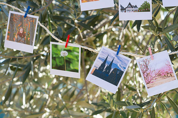 istock Set of photos hanging on clothesline 527863045