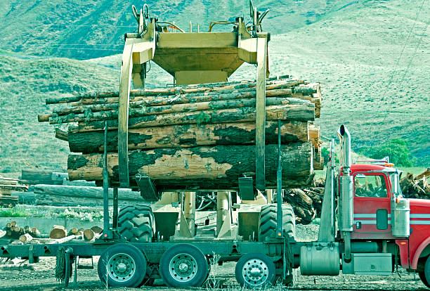istock Trees offloaded from truck by timber grab in Washington state 527875375
