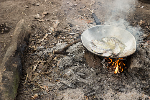 fried fish cooking on pan using fire in camp
