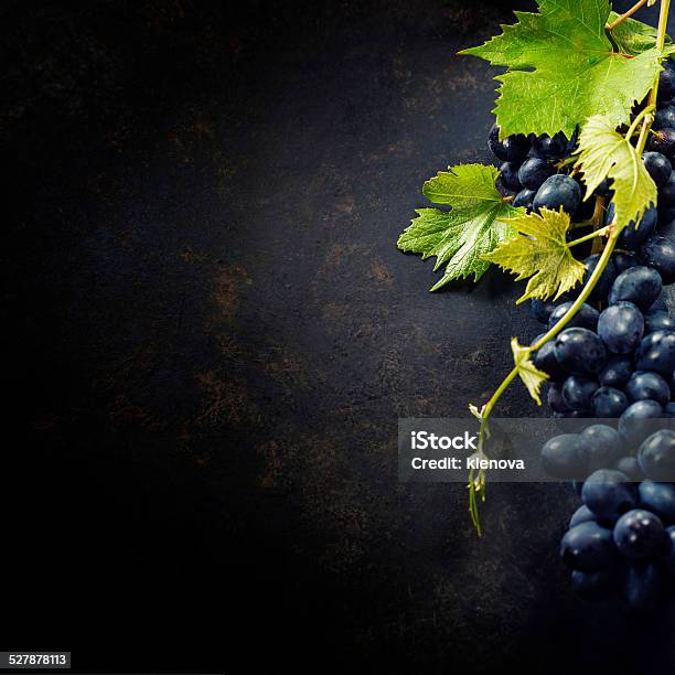 Uvas Foto de stock y más banco de imágenes de Uva - Uva, Vino, Fondos