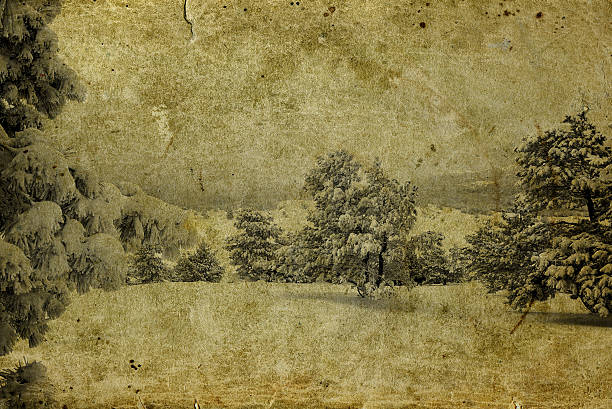 istock Winter retro photo 527881833
