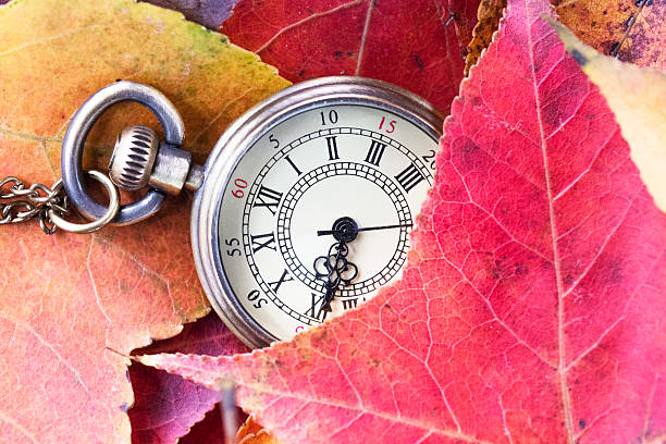 istock old watch on red leaves 527882047