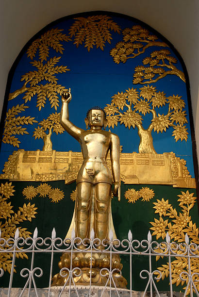 istock Golden standing Japanese Buddha in Nepal. 527882507