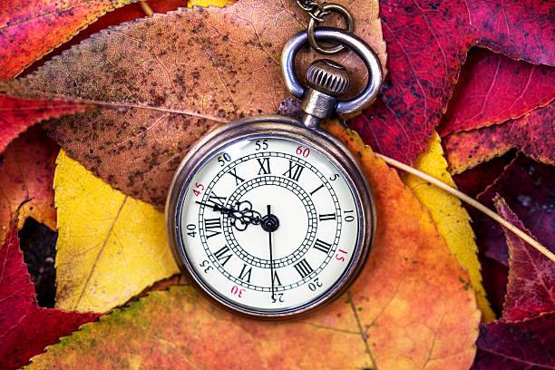 istock old watch on red leaves 527882909