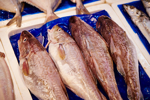 Fishes sold at Korean market