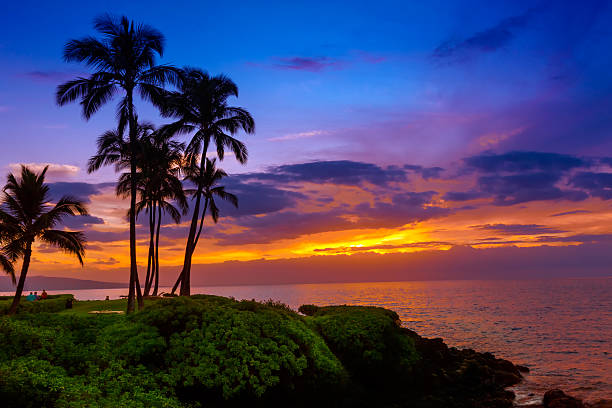 playa tropical al atardecer - hawaii islands fotos fotografías e imágenes de stock