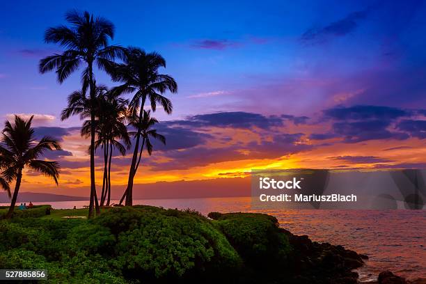 トロピカルビーチの夕日 - 日没のストックフォトや画像を多数ご用意 - 日没, マウイ島, 海岸