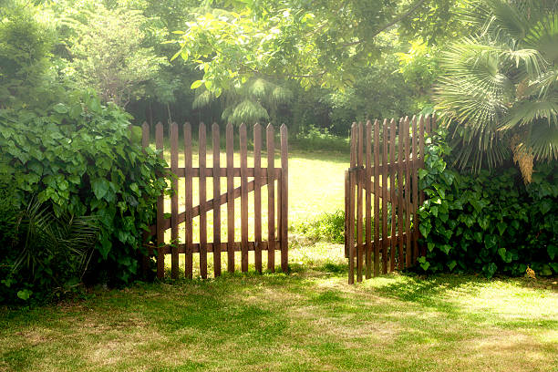 porta aperta in legno e nebbia sul giardino - farm gate foto e immagini stock