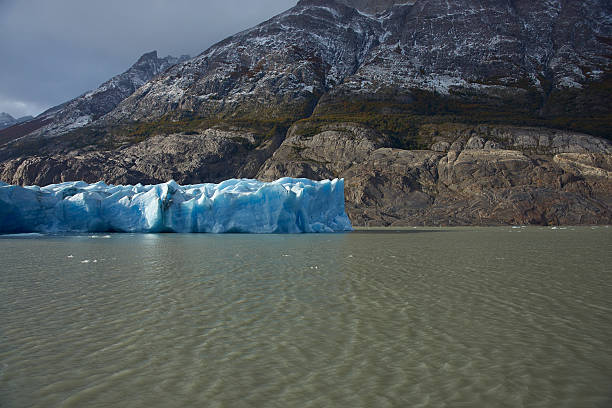 istock Grey Glacier, Patagonia, Chile 527888234