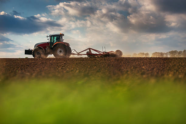 agricultor no tractor preparação de terra com seedbed cultivator - seedbed imagens e fotografias de stock