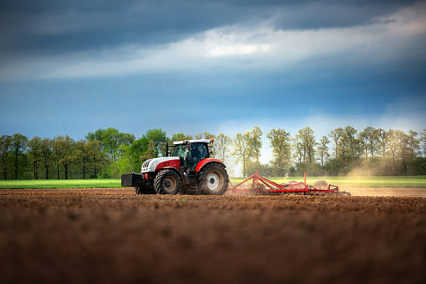 agricultor no tractor preparação de terra com seedbed cultivator - seedbed imagens e fotografias de stock