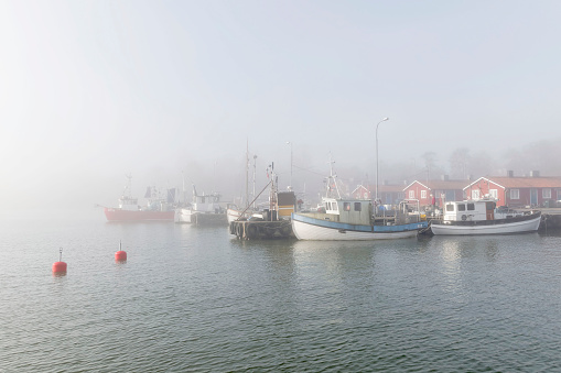 One vessel and a crane in the fog of the Rotterdam harbour Europoort, the Netherlands.