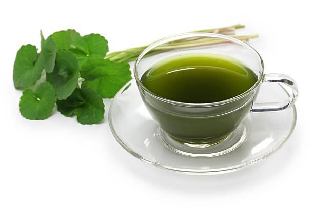 gotu kola getränk - herbal medicine herb leaf india stock-fotos und bilder