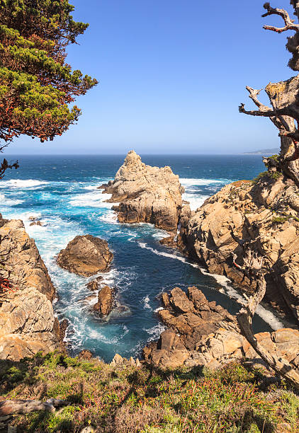 Small cove in Point Lobos, California A small, pretty, rocky cove in  Point Lobos State Reserve in California. point lobos state reserve stock pictures, royalty-free photos & images