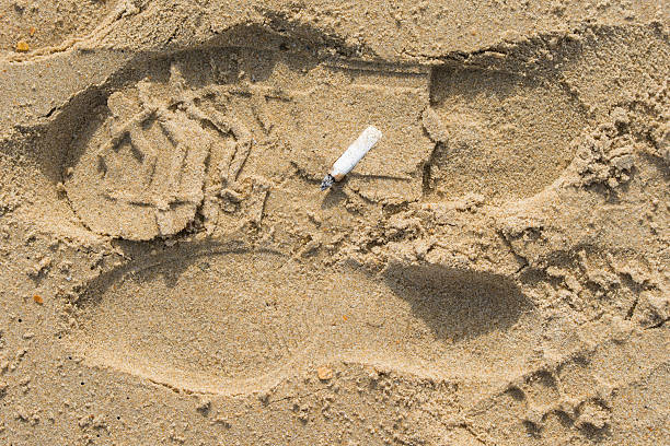 istock stub of a cigarette lying on the sand on 527892792