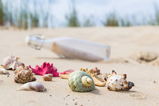 istock Colorful sea shells bottle background 527894658