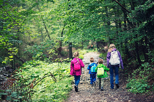 istock Mother and kids hiking in forest 527895790