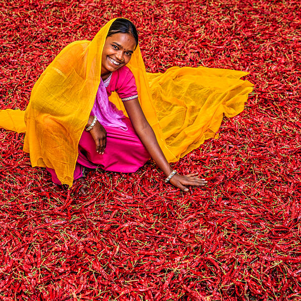 istock Young Indian woman sorting red chilli peppers, Jodhpur, India 527896456