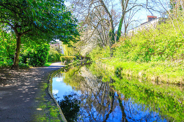 istock Trees at London New River Walk 527896652