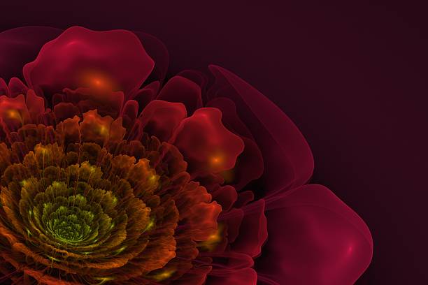 istock Colorful fractal Bloom 527897104