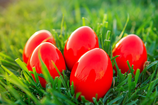 Colorful Easter eggs on white rustic background