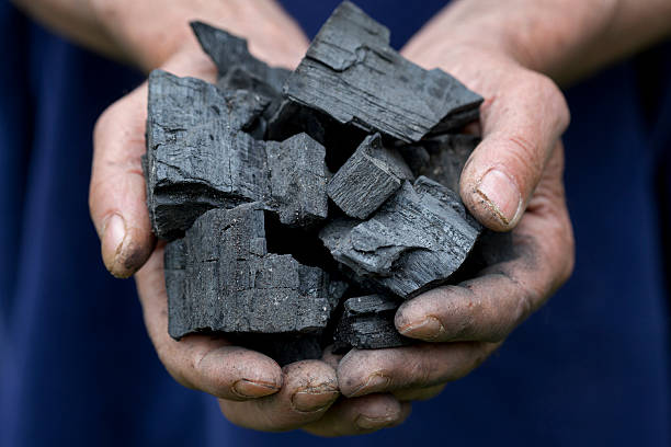 istock Charcoal for barbecue grill in hands 527901494