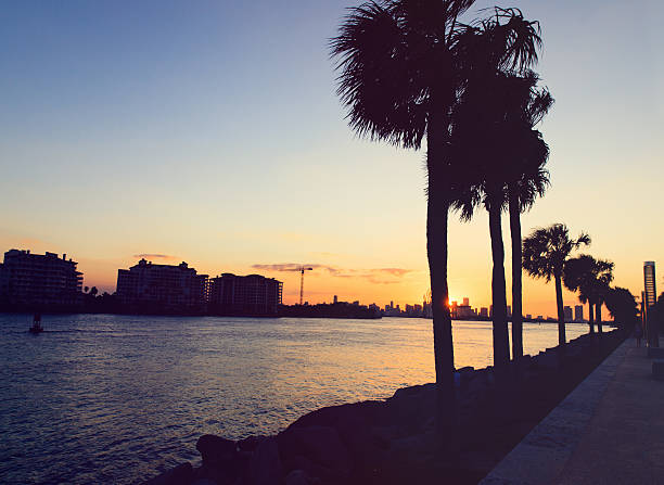 istock Miami city beach promenade at dusk 527902076
