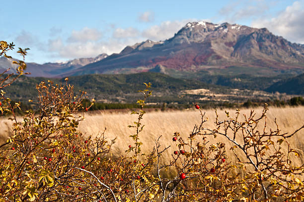 パタゴニアの秋の色 エル ・ boliche 、バリローチェ - south america argentina bariloche autumn ストックフォトと画像