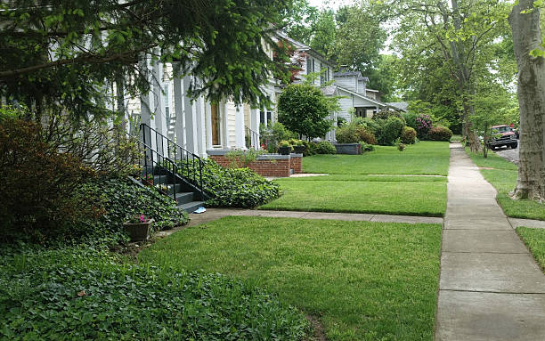 istock Neighborhood Block in Spring 527907696