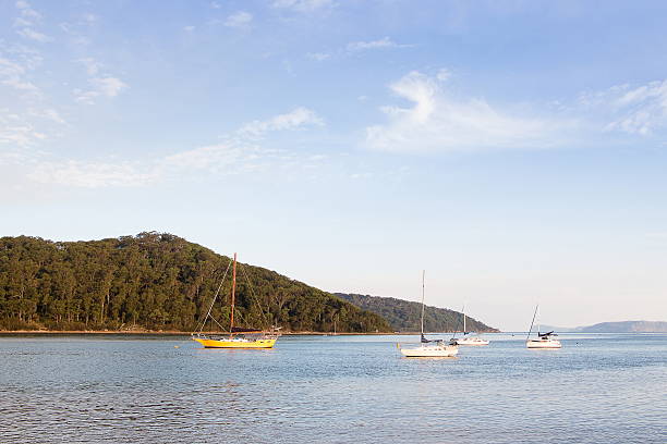 istock Yachts and boats 527910388