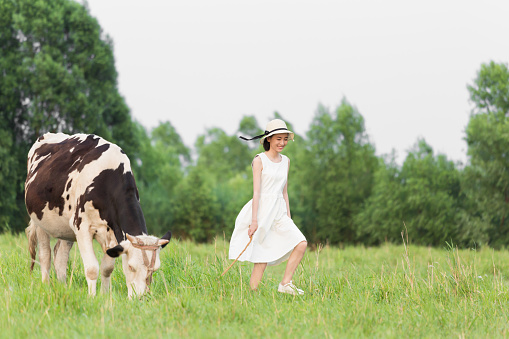 china beautiful rural girl in green pastures, grazing cattle and sheep.