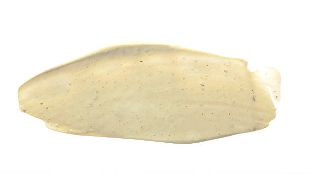 istock Beige color scrub cream on background 527911344