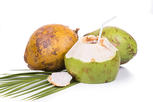 istock Three refreshing green organic coconut fruit juice on white back 527911802