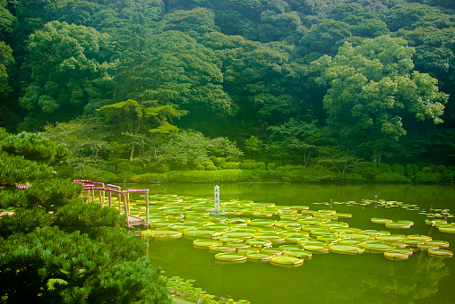 Japanese garden closeby \